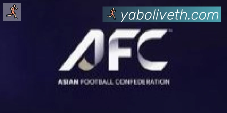 亚博体育合作伙伴